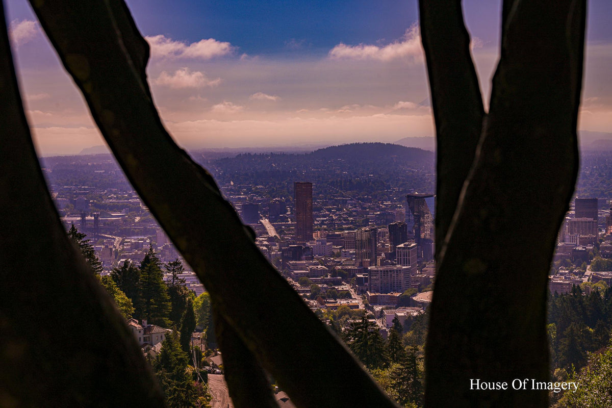 Downtown Portland through the trees: Oregon Scenic Vistas