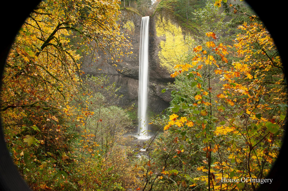 Latourell Falls in the Fall-Columbia River Gorge: Oregon Landscape Photography