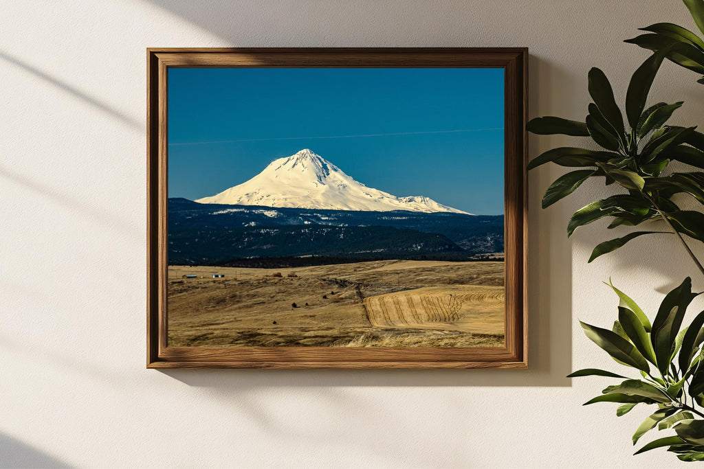 View of Mt. Hood: Central Oregon Landscape Photography