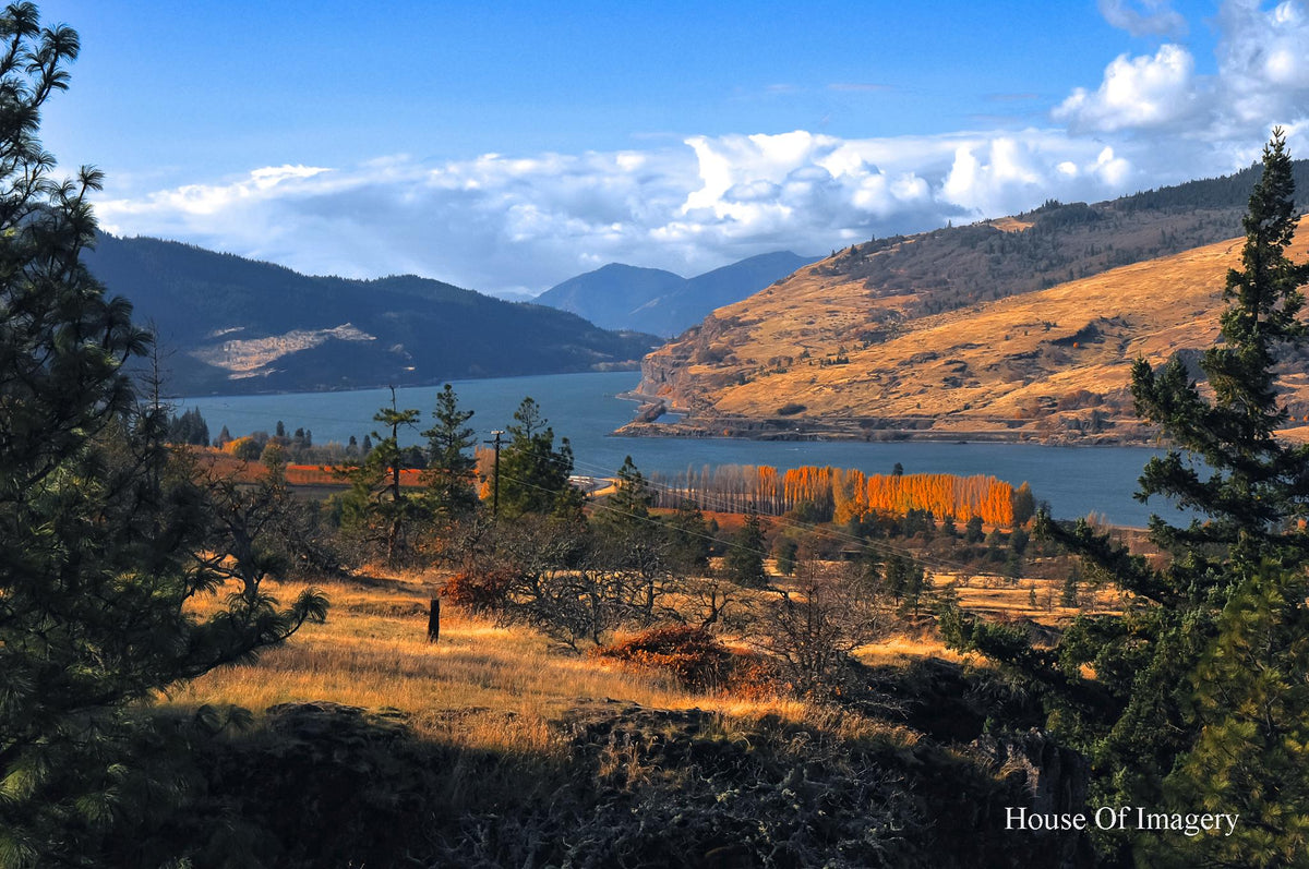 Forever Autumn in the Columbia River Gorge: Oregon Landscape Photography