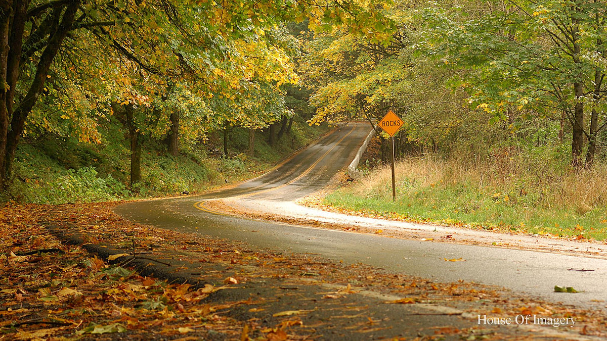 Fall in the Northwest: Oregon Landscape Photography