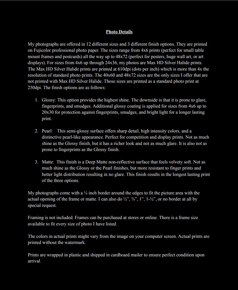 A Barn in the Middle of Nowhere: Eastern Oregon Landscape Photography