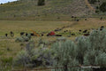 Old Truck in the Middle of Nowhere: Eastern Oregon Landscape Photography