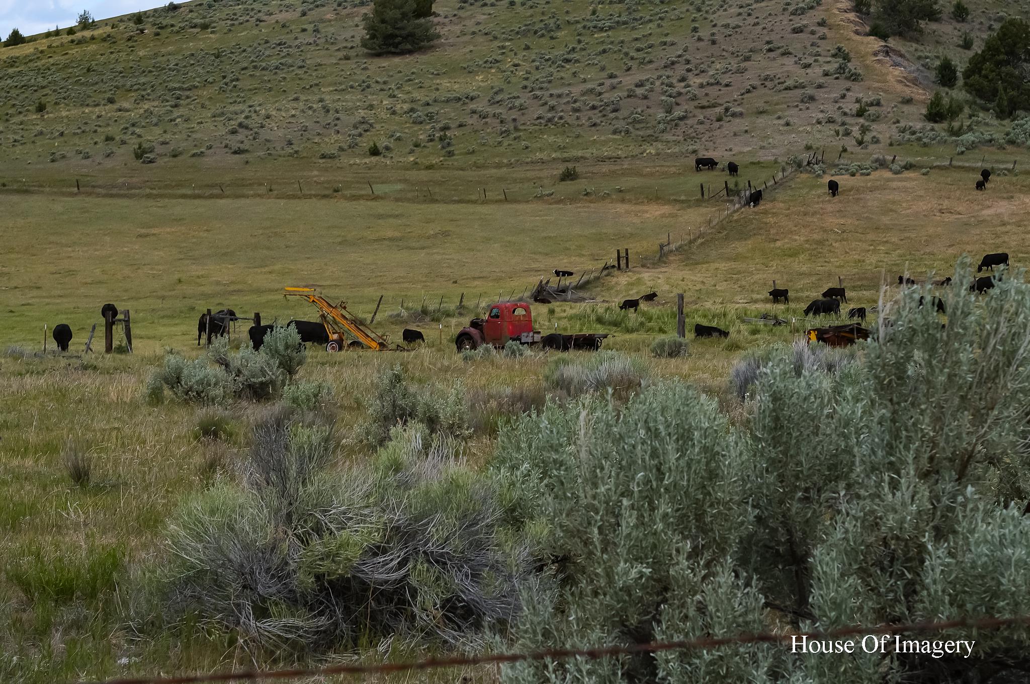 Old Truck in the Middle of Nowhere: Eastern Oregon Landscape Photography