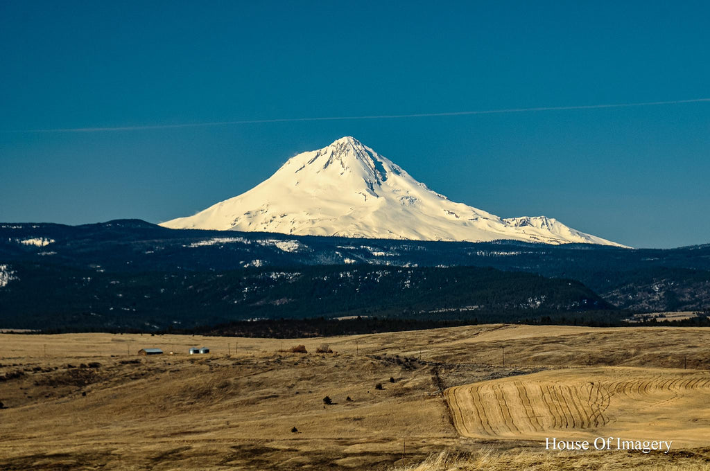 View of Mt. Hood: Central Oregon Landscape Photography
