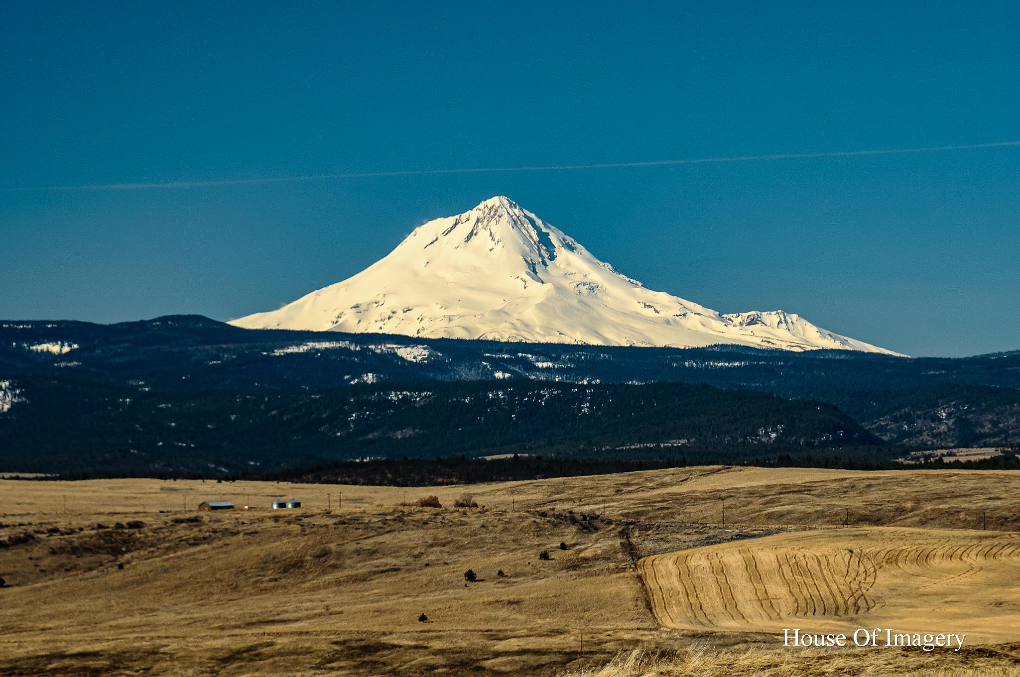 View of Mt. Hood: Central Oregon Landscape Photography