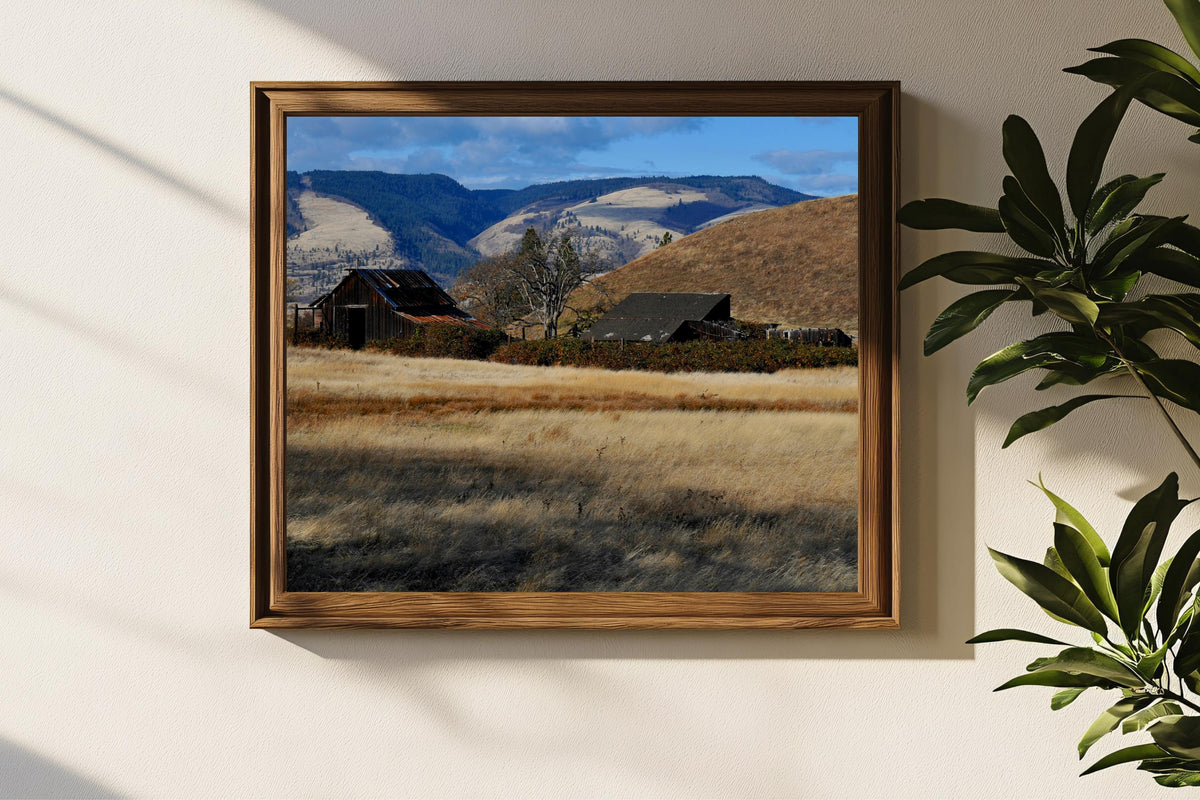 Abandoned Farm-Columbia River Gorge: Oregon Landscape Photography